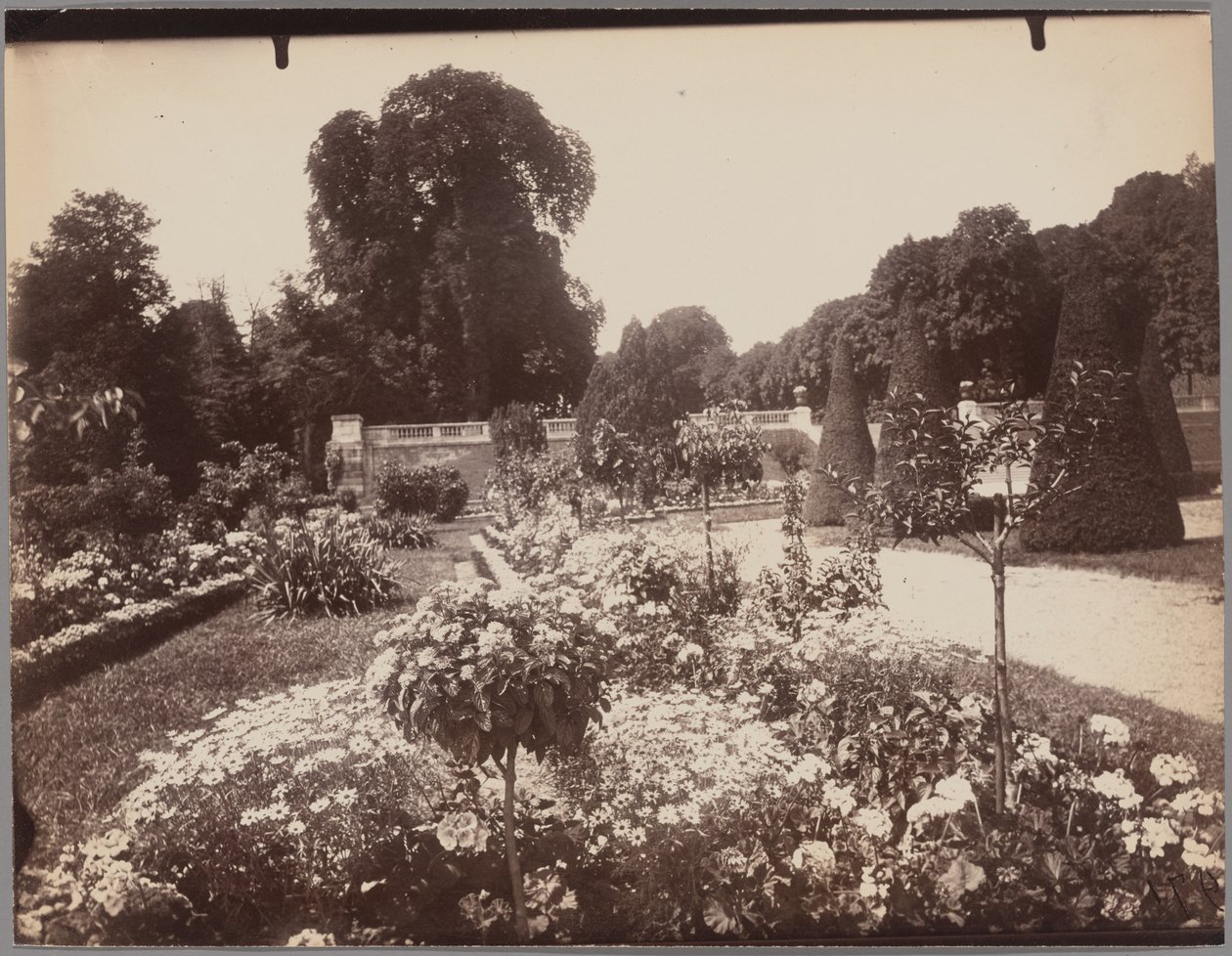 Saint-Cloud by Eugène Atget