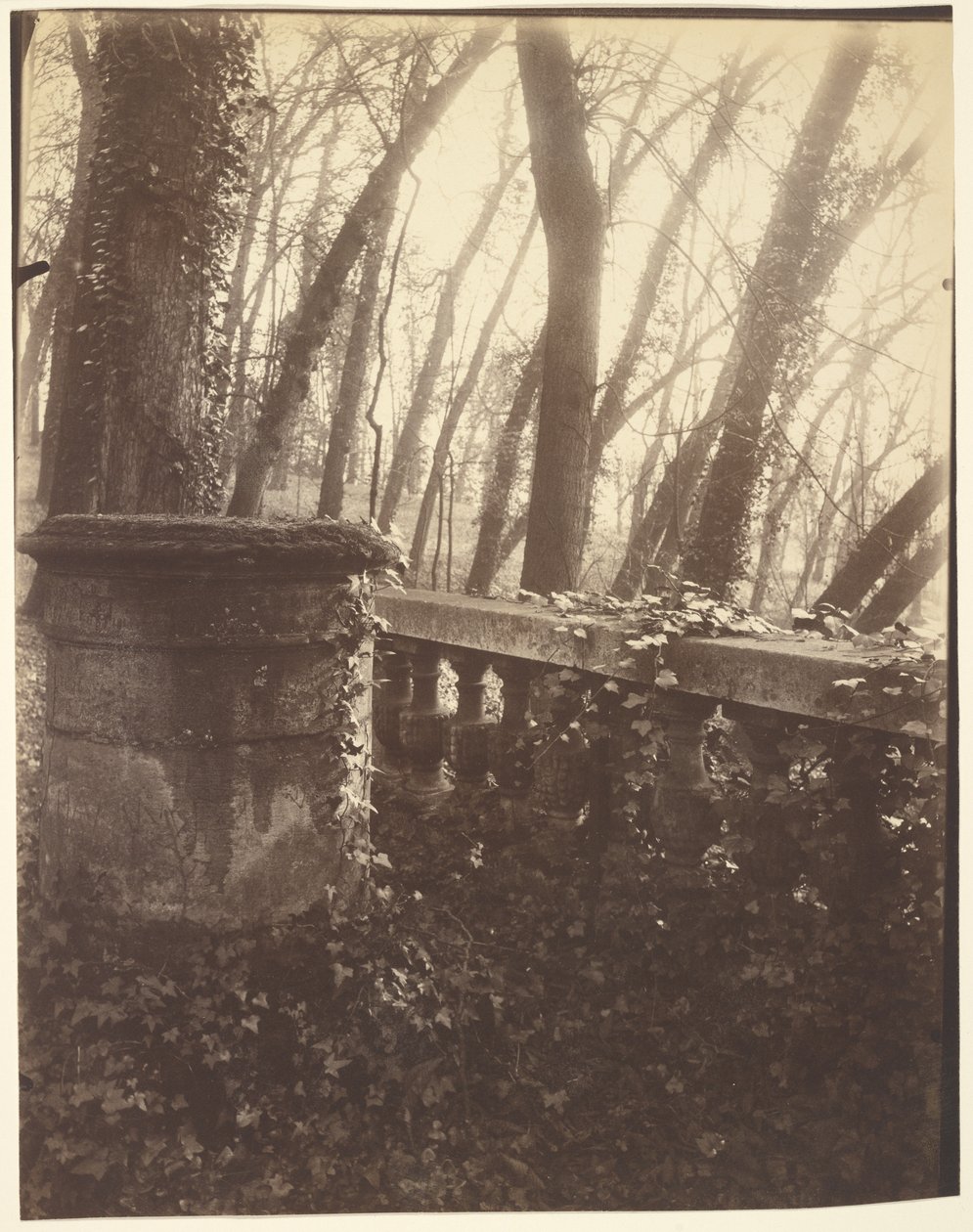 Saint-Cloud Park, Paris by Eugène Atget