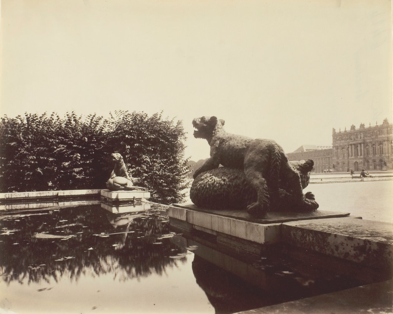 Versailles, Fontaine du Point du Jour, Tiger Subduing a Bear by Houzeau, 1903 by Eugène Atget