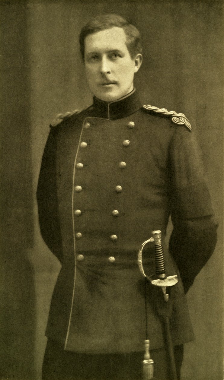 Albert, King of the Belgians by Eugène Boute