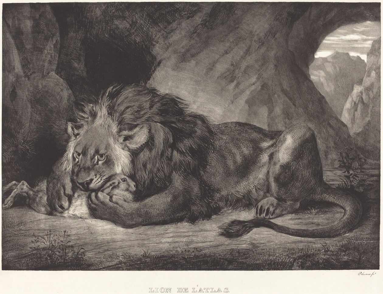Lion of the Atlas Mountains by Eugène Delacroix