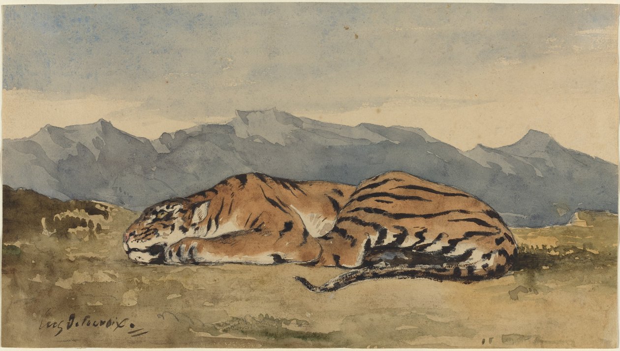 Tiger by Eugène Delacroix
