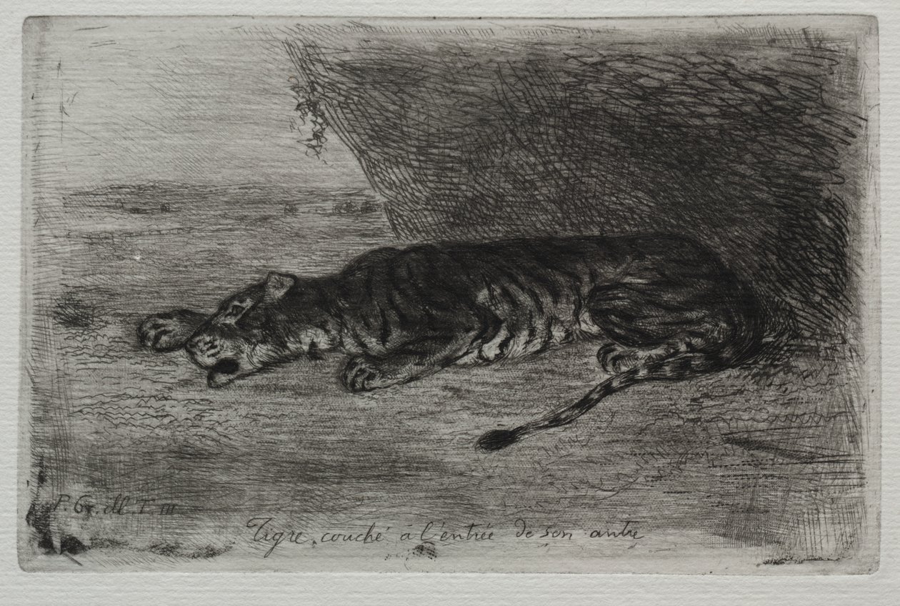 Tiger Sleeping at the Entrance to His Lair by Eugène Delacroix