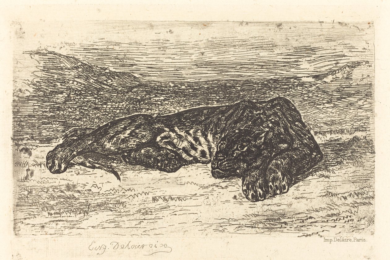 Tiger Sleeping in the Desert by Eugène Delacroix