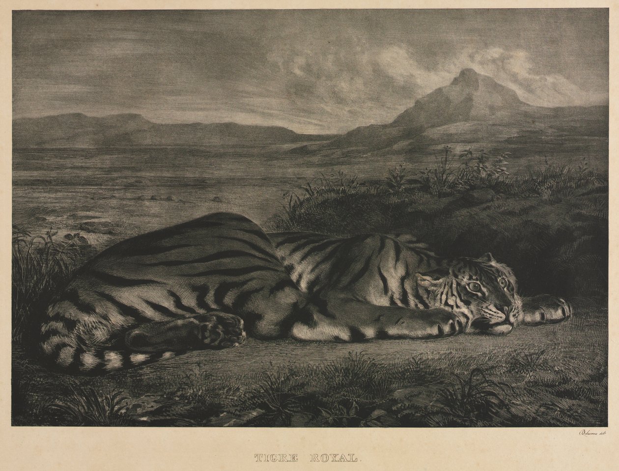 Royal Tiger by Eugène Delacroix