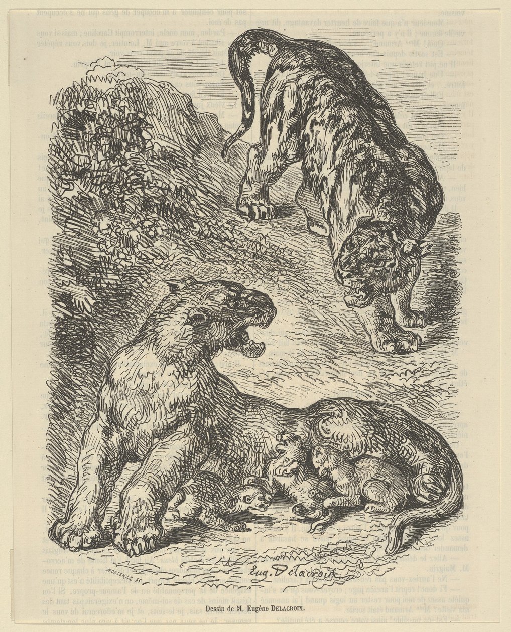 Tigress Attacked by a Tiger While Nursing her Young, 1853 by Eugène Delacroix