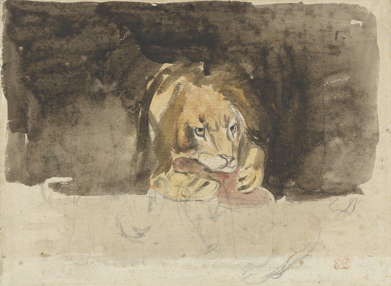 Meat-Eating Lion, Seen from the Front, Emerging Against a Dark Background by Eugène Delacroix
