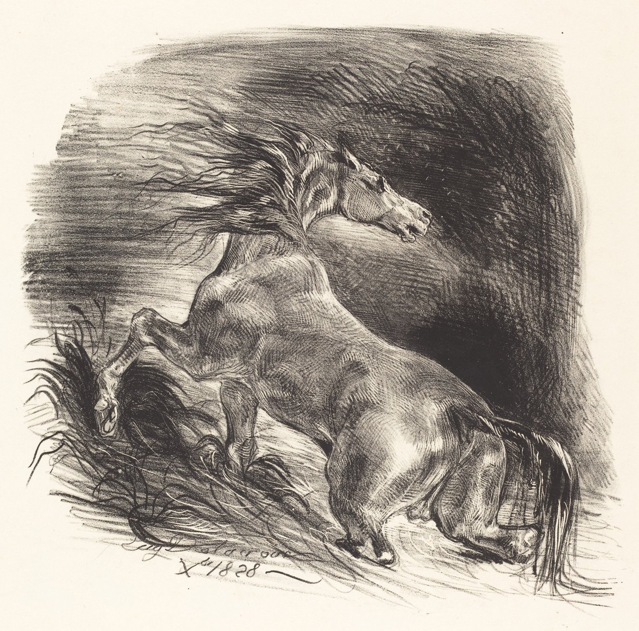 Wild Horse Coming out of the Water by Eugène Delacroix