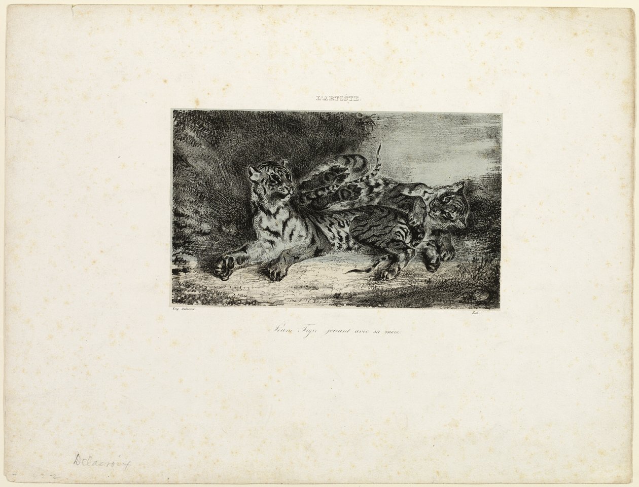 Young Tiger Playing with its Mother by Eugène Delacroix