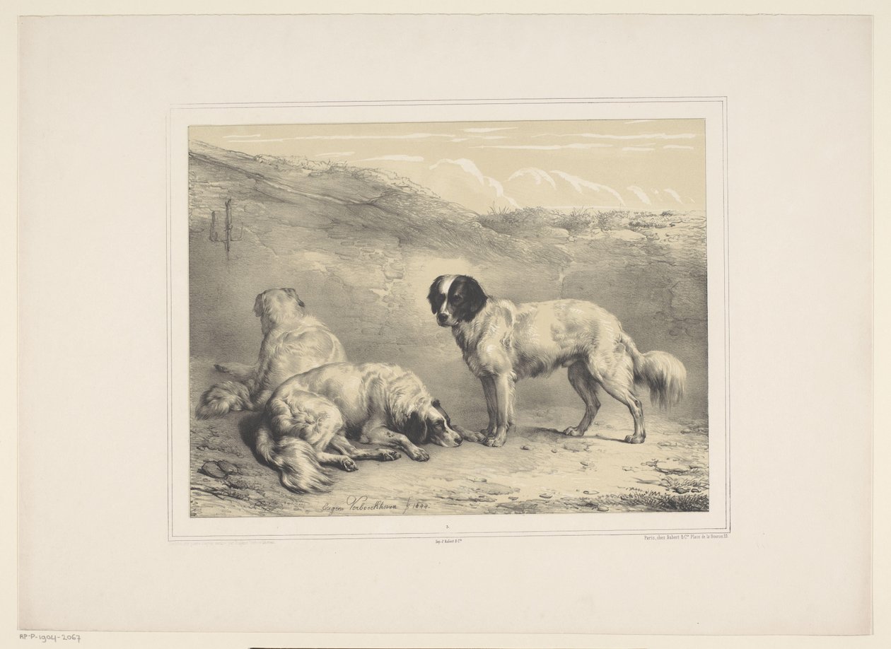 Three Dogs by Eugène Verboeckhoven
