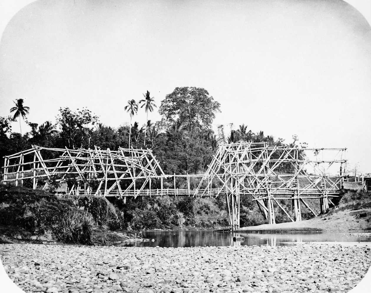 Bamboo Suspension Bridge, Java by European Photographer