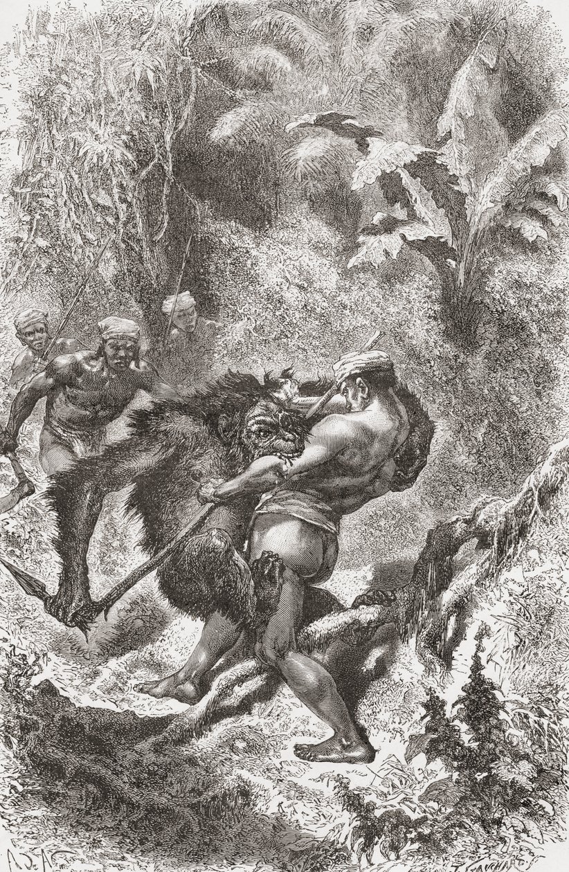 A Dayak native from Borneo fighting with an orangutan, from 