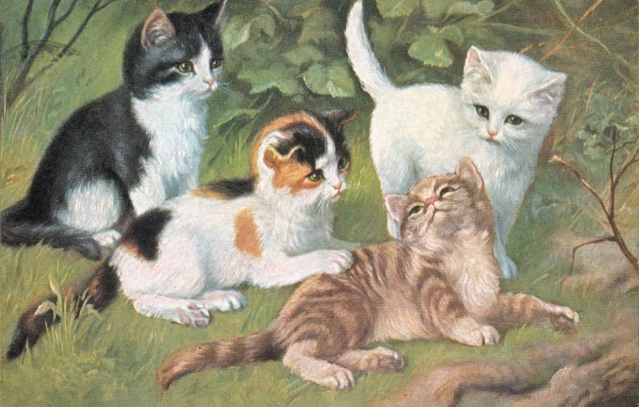 Cat Postcard by European School