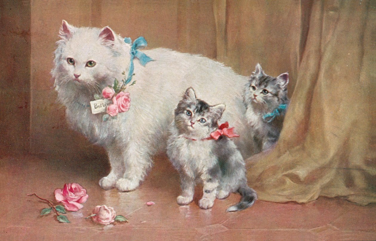 Cat Postcard by European School