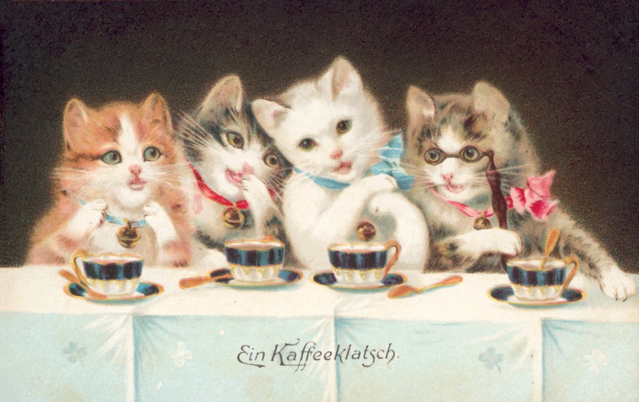 Cat Postcard by European School