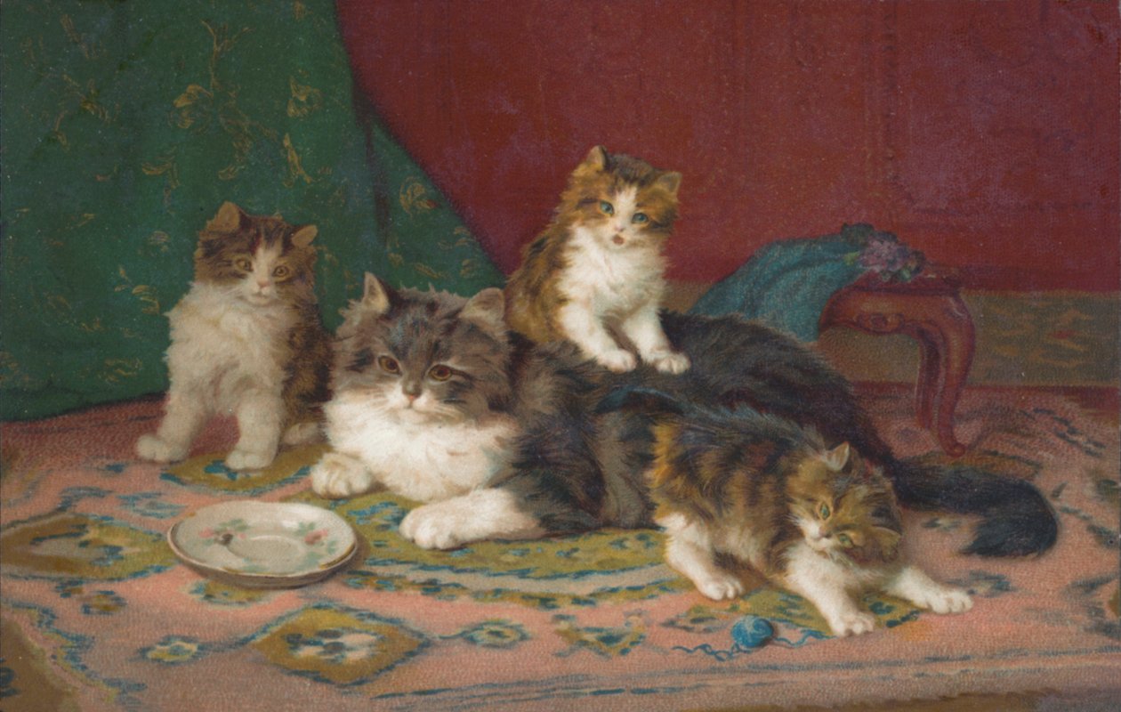Cat Postcard by European School