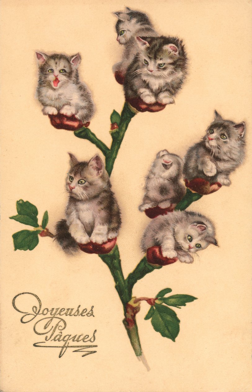 Comic Cats, as Catkins by European School