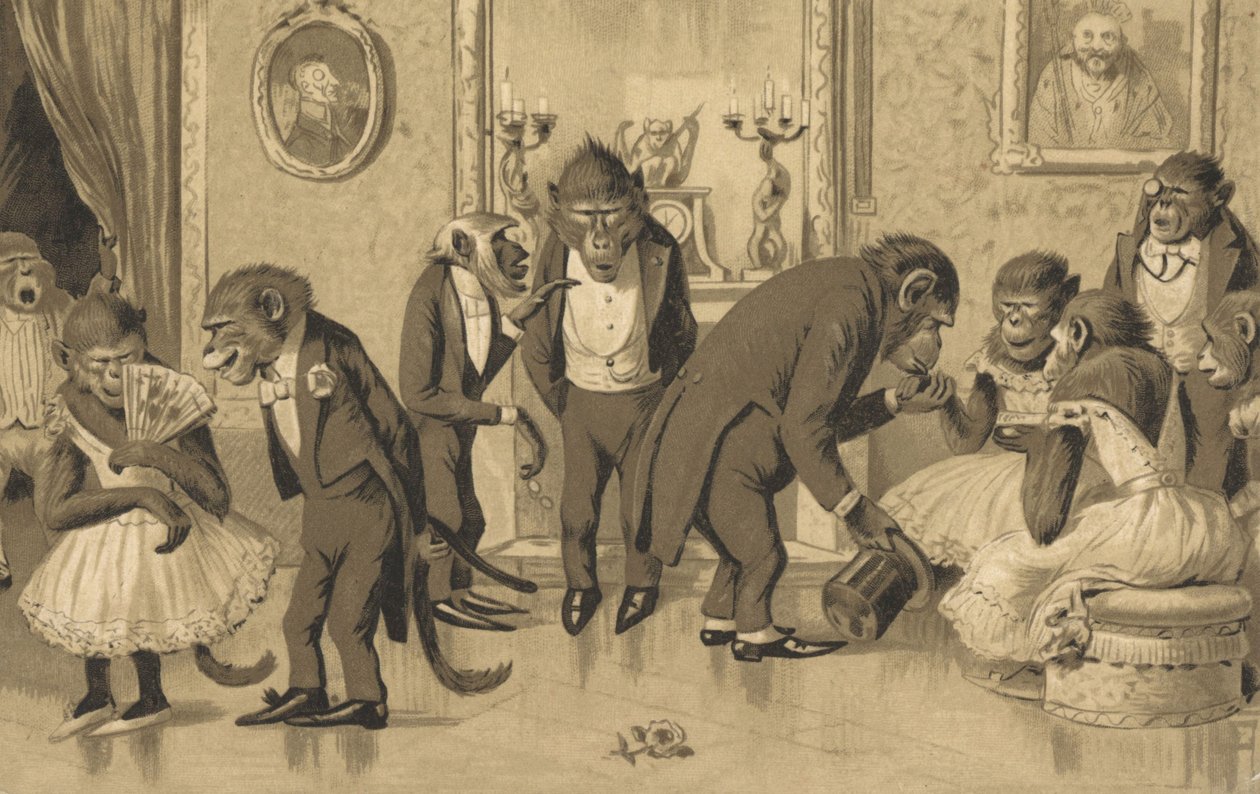 Evening Party of Baboons by European School
