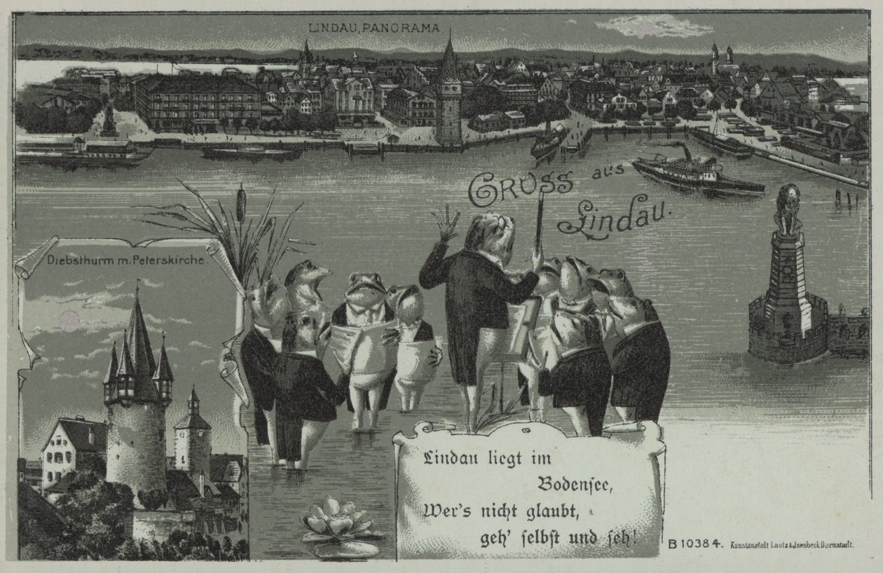 Frog Concert at Lindau by European School