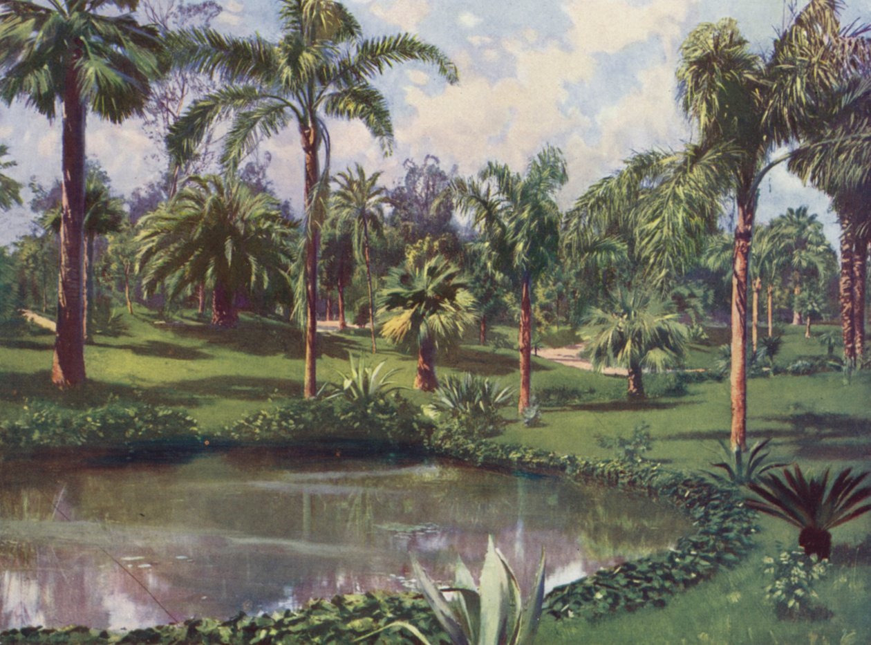 Monte-Carlo, The Garden of the Casino by European School