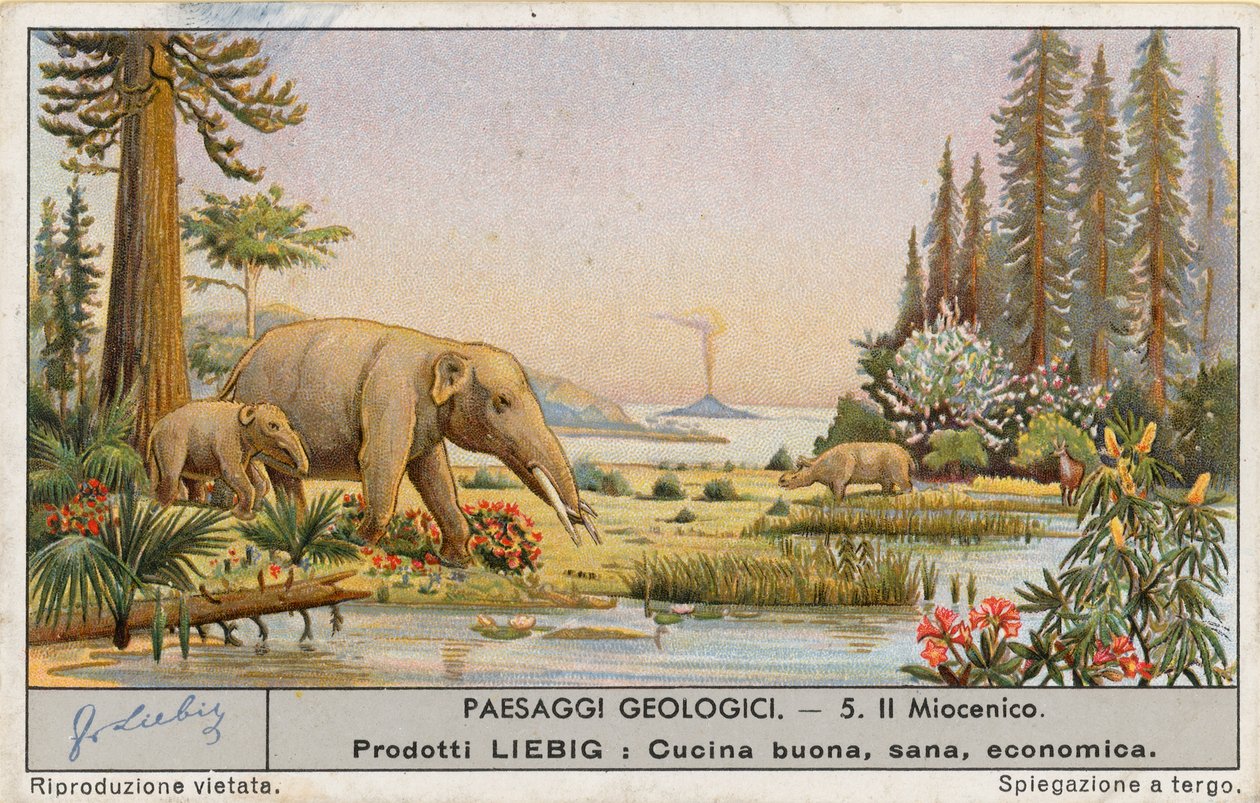 Prehistoric World by European School