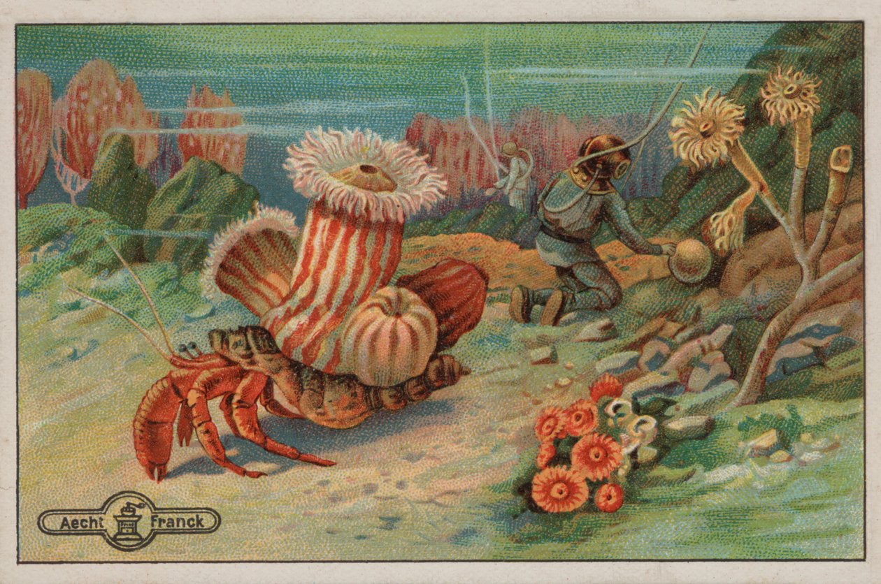 Scene on the Sea Bed by European School