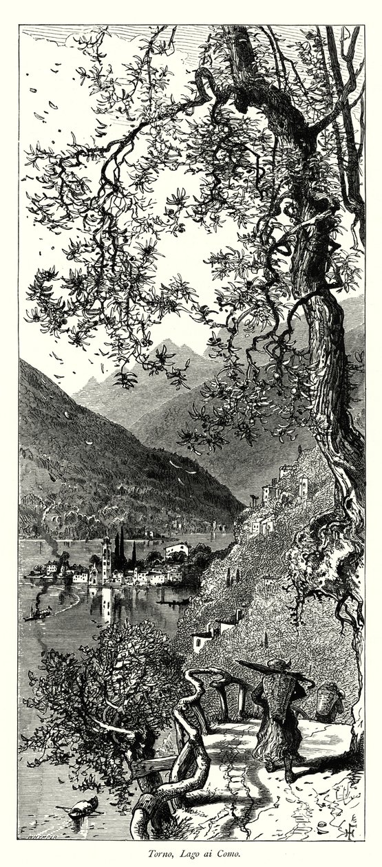 Torno, Lake Como by European School