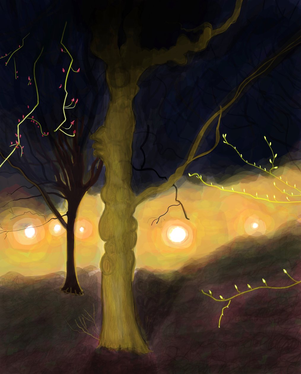 5:20 A.M. Prospect Park, Brooklyn by Evan Sklar