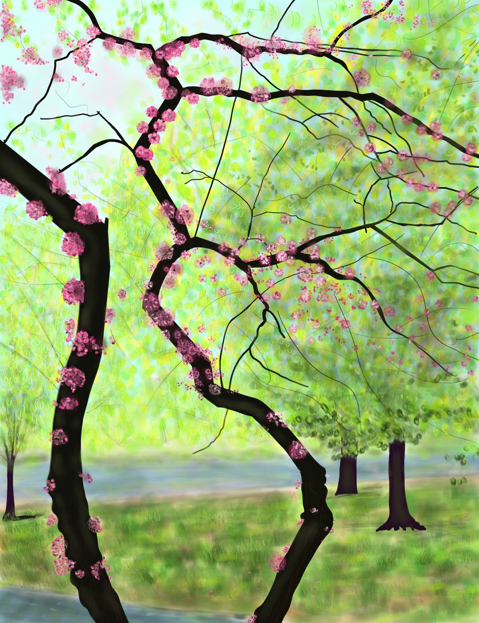 Blossoming Tree, Brooklyn by Evan Sklar