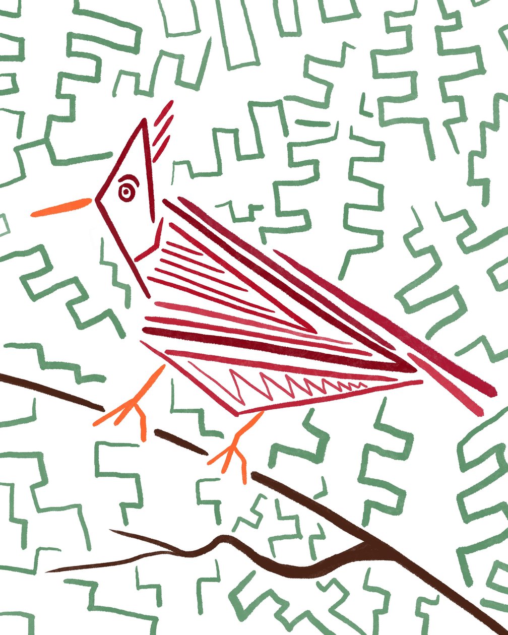 Cardinal by Evan Sklar