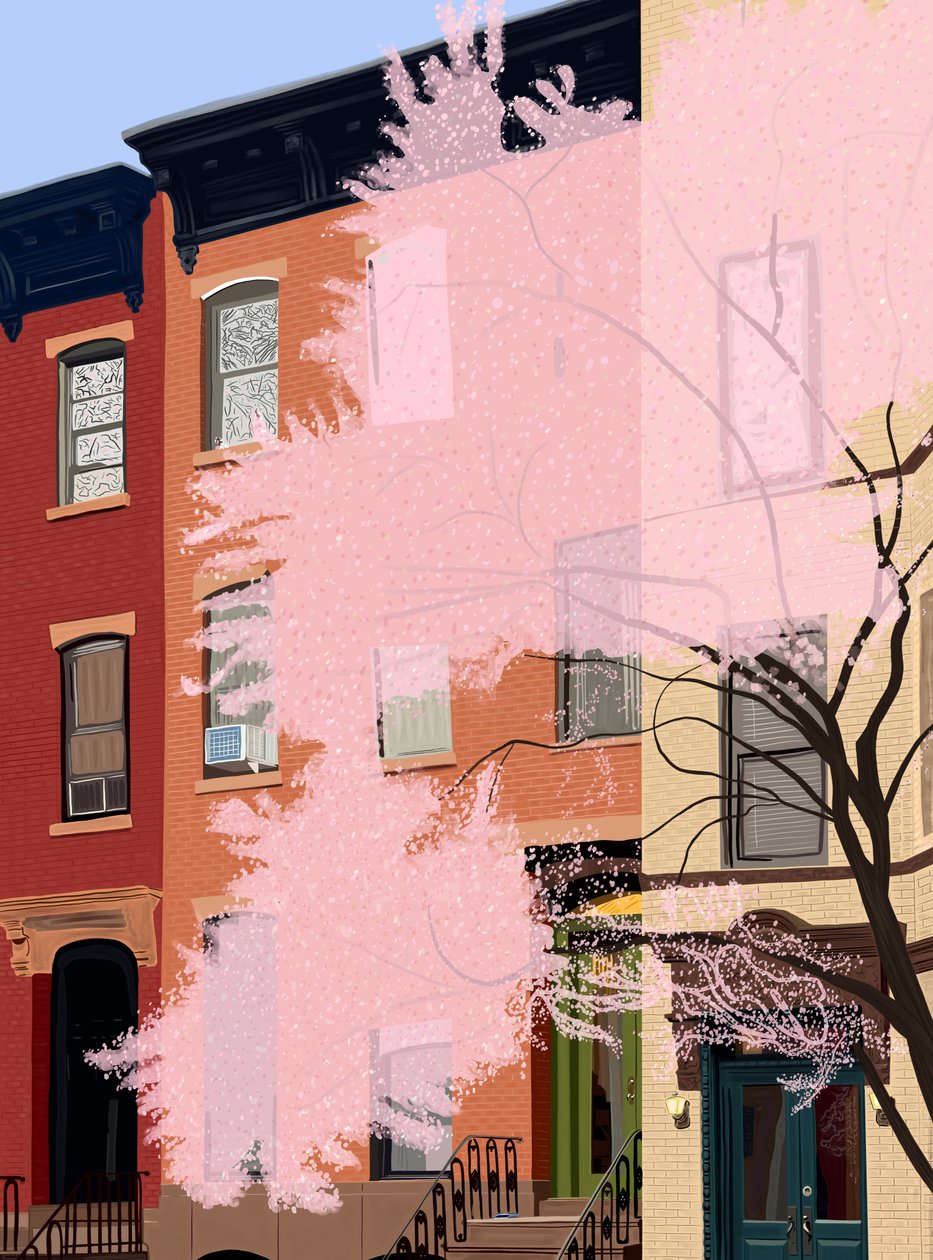 Cherry Blossoms, 7th Street by Evan Sklar