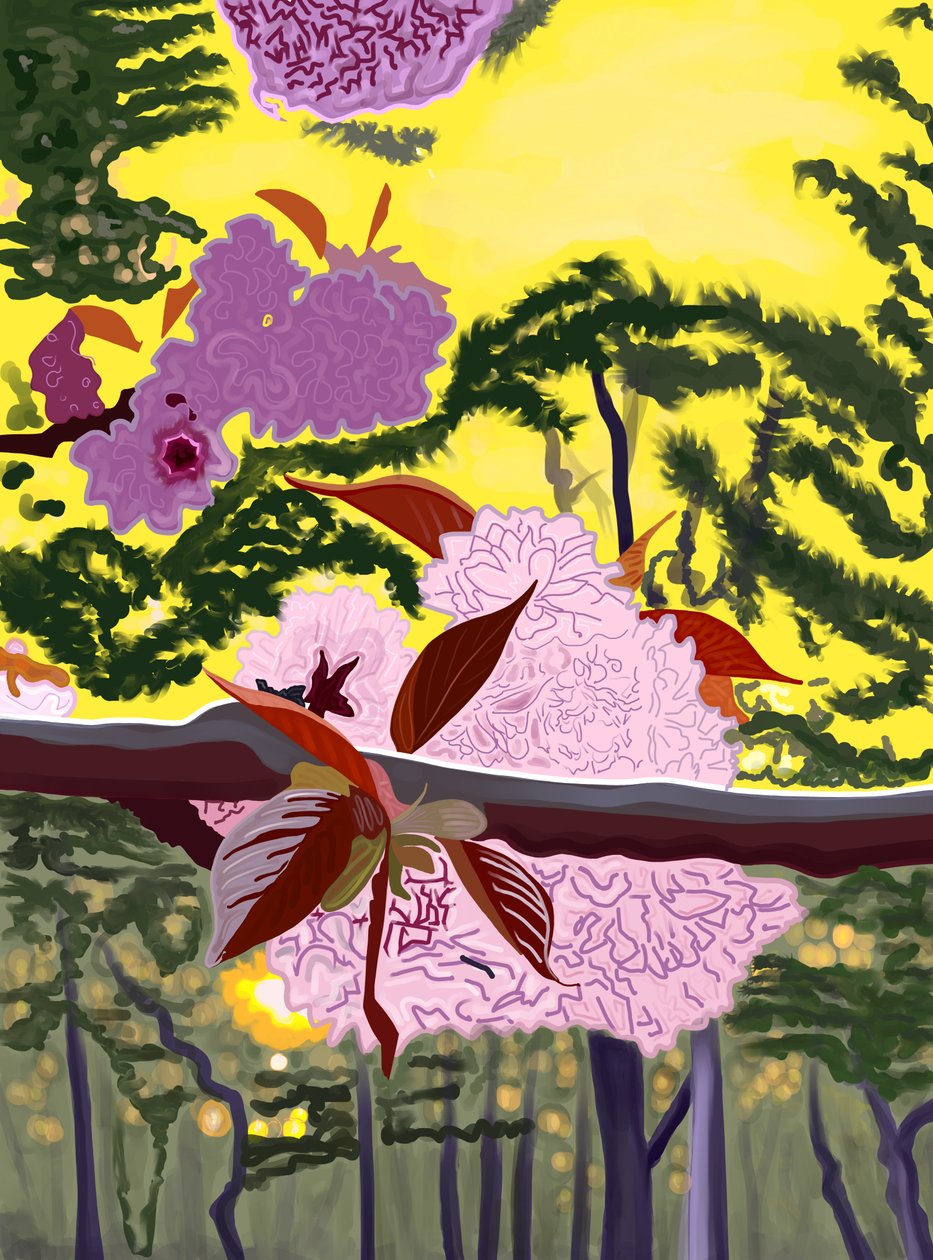 Cherry Blossoms On Branch, Brooklyn by Evan Sklar