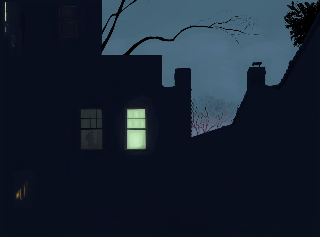 Couple In Window at Night, Brooklyn by Evan Sklar