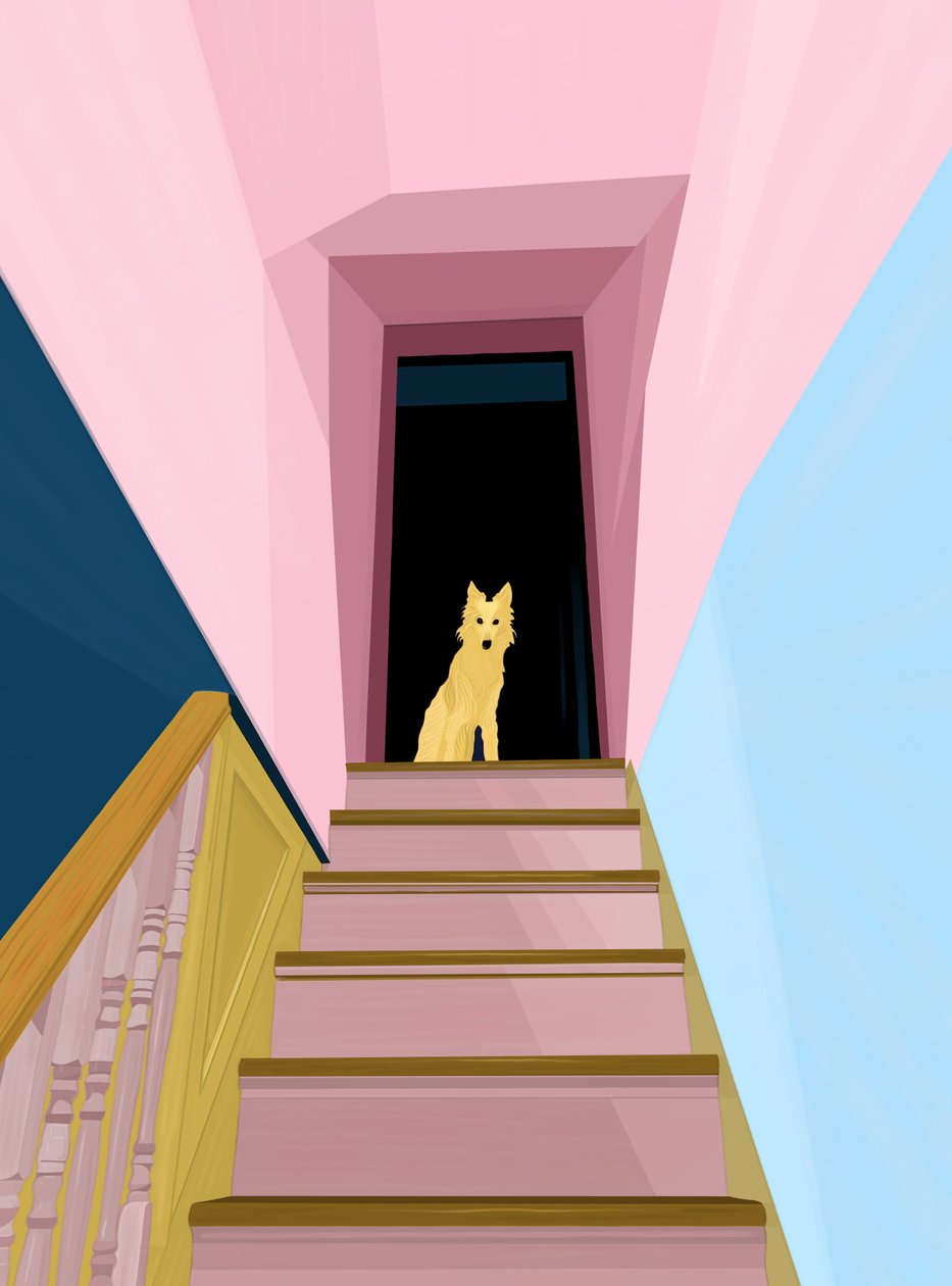 Dog Atop Staircase by Evan Sklar