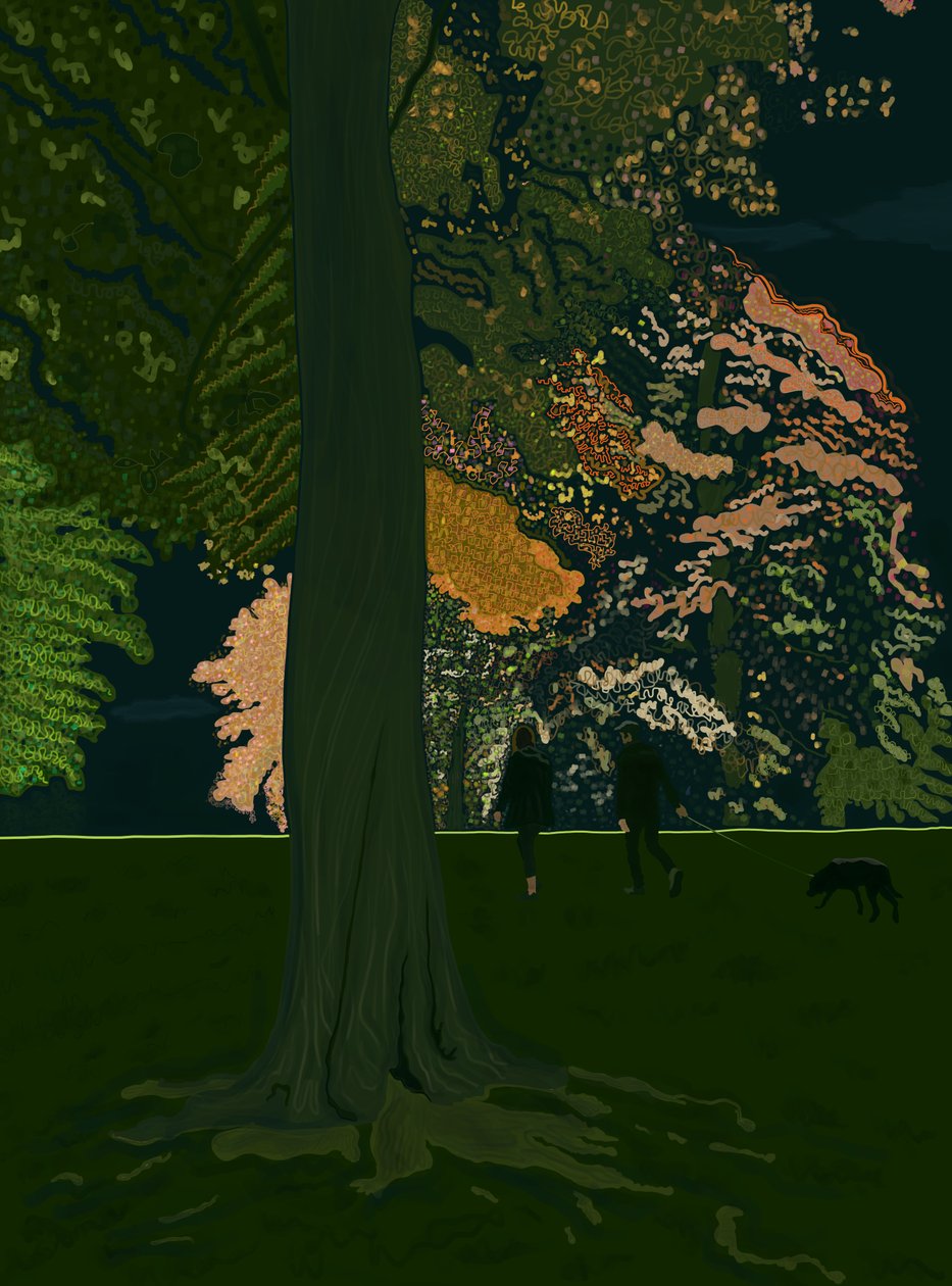 Dog Walk At Night by Evan Sklar