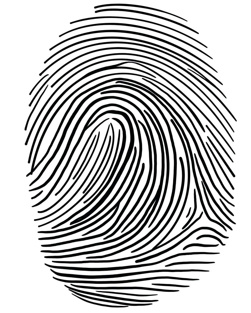 Drawing Of A Finger Print Brooklyn by Evan Sklar