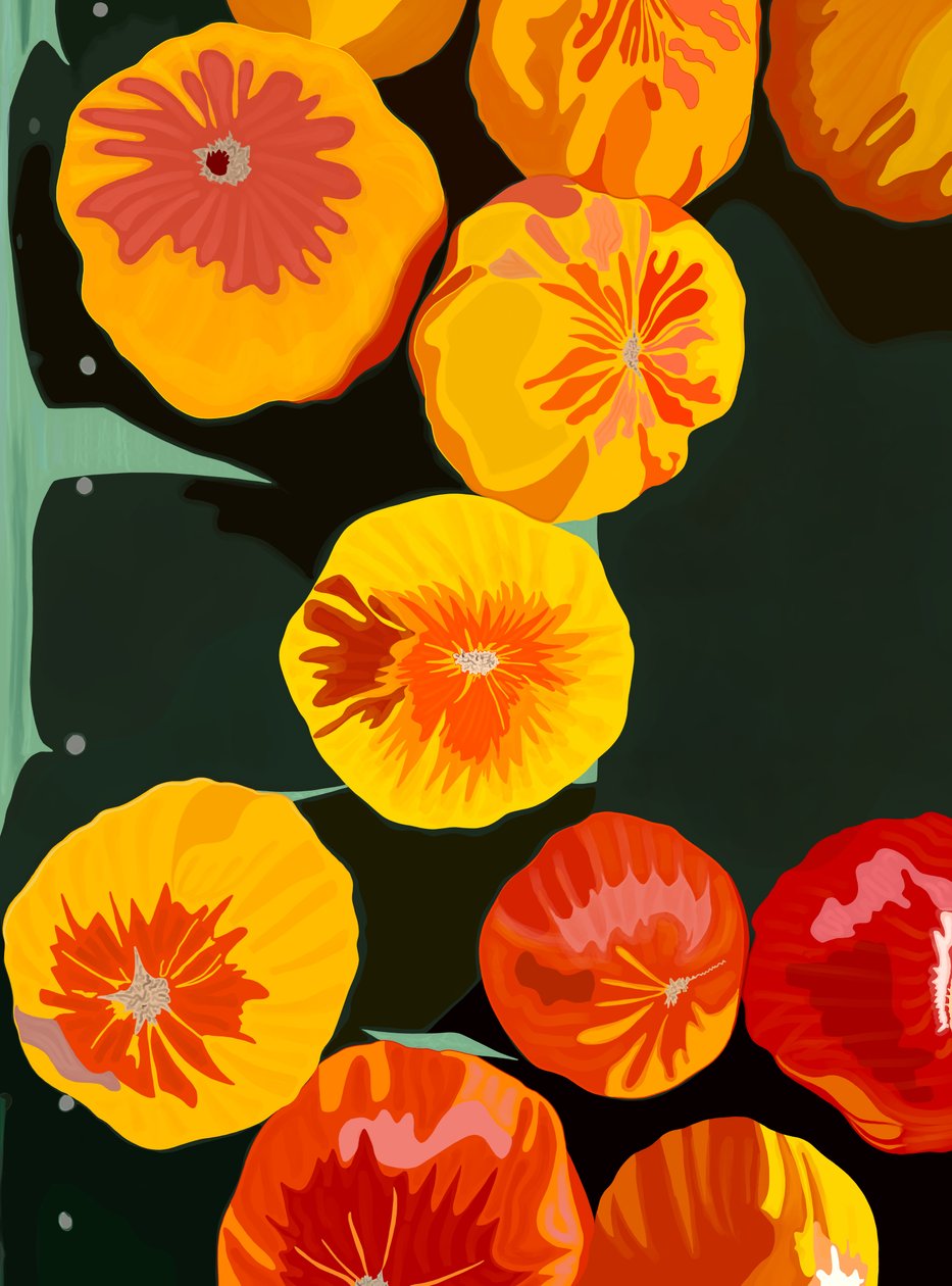 Eleven Tomatoes At Market Brooklyn by Evan Sklar