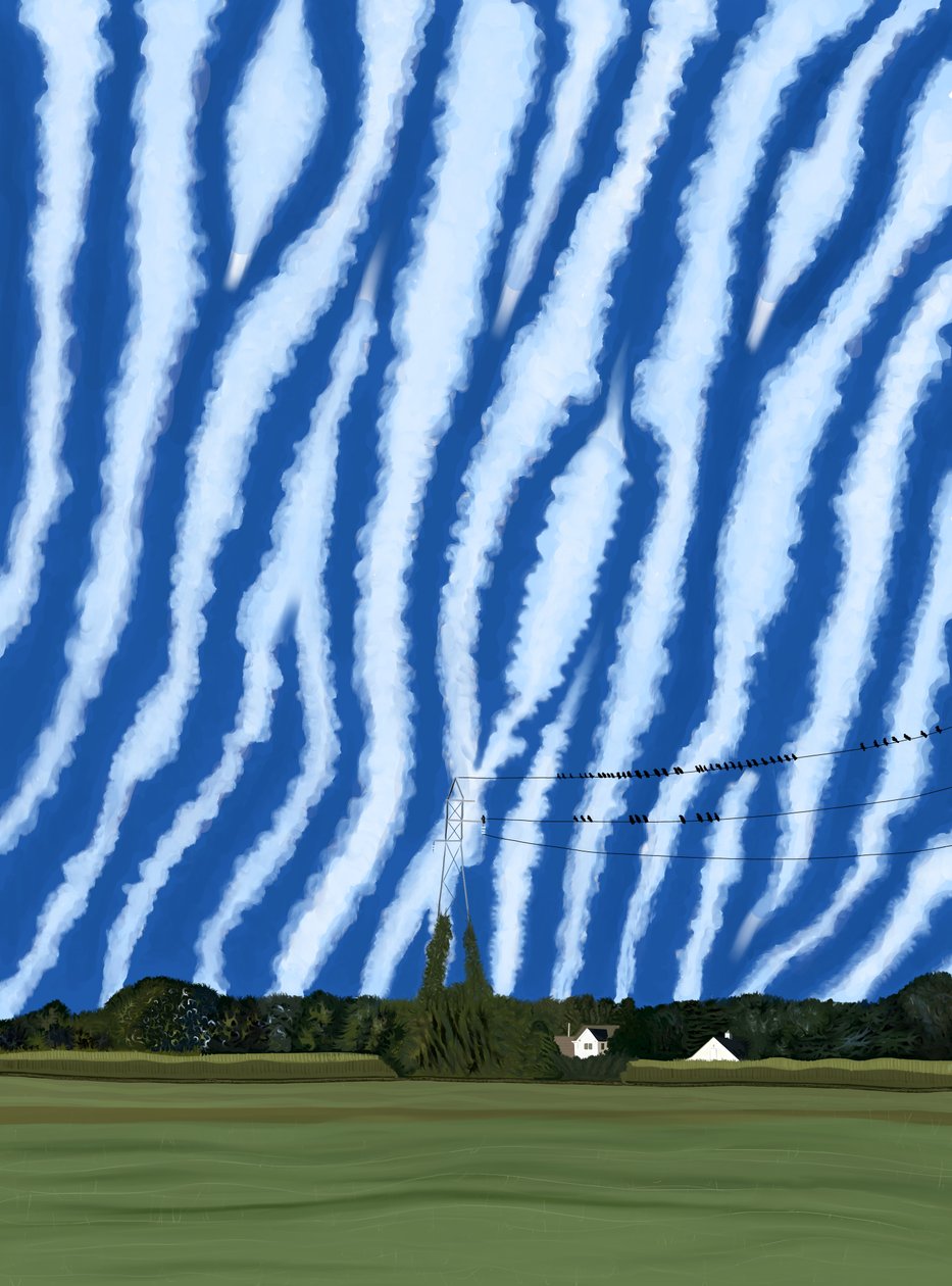 Field and Wires, North Fork, Long Island by Evan Sklar