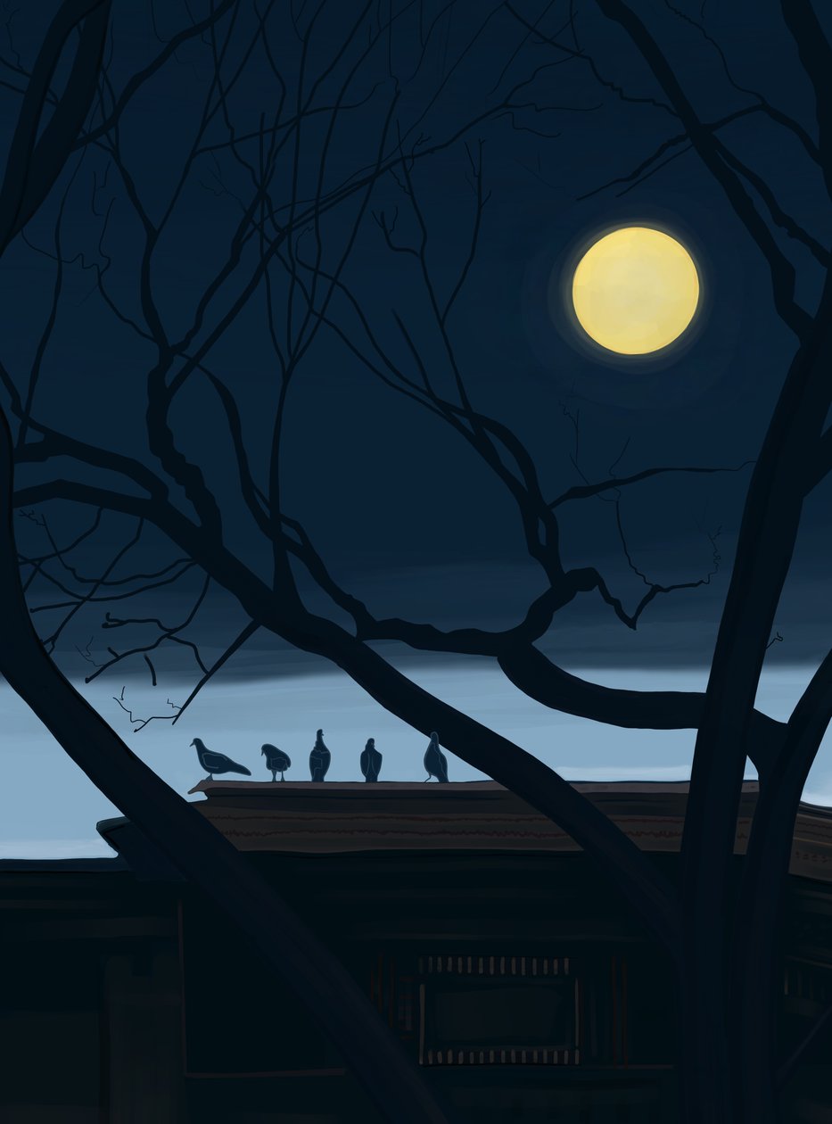 Five Pigeons on Roof by Evan Sklar
