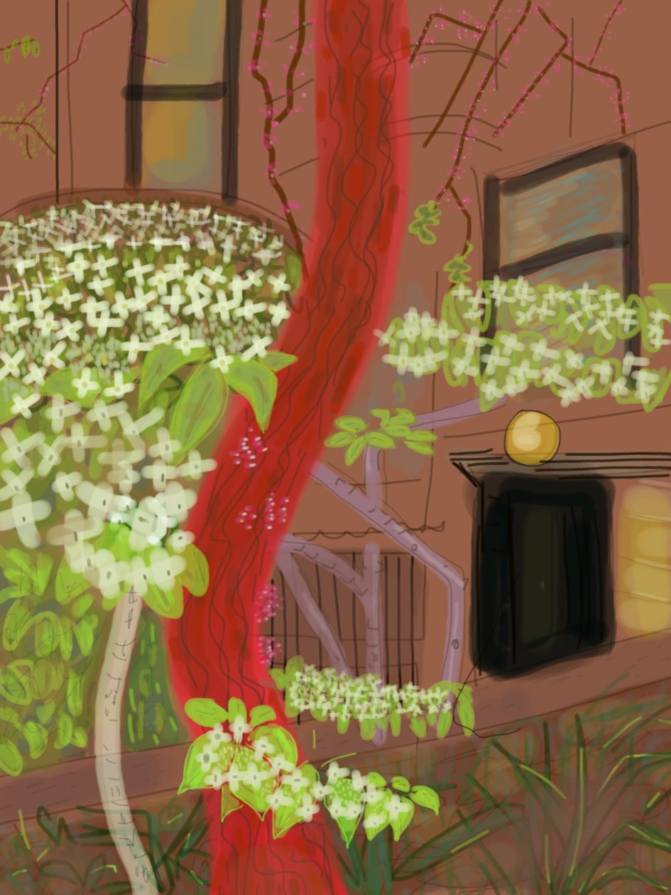 Flowering Dogwood Trees, 2015 by Evan Sklar