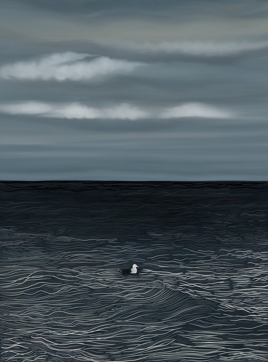 Gull Floating On Water and Stormy Sky by Evan Sklar
