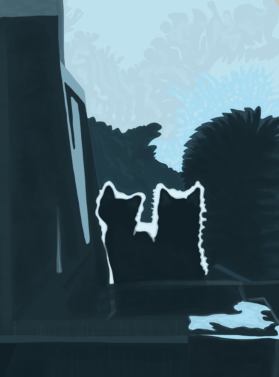 Kittens Outside of Window by Evan Sklar
