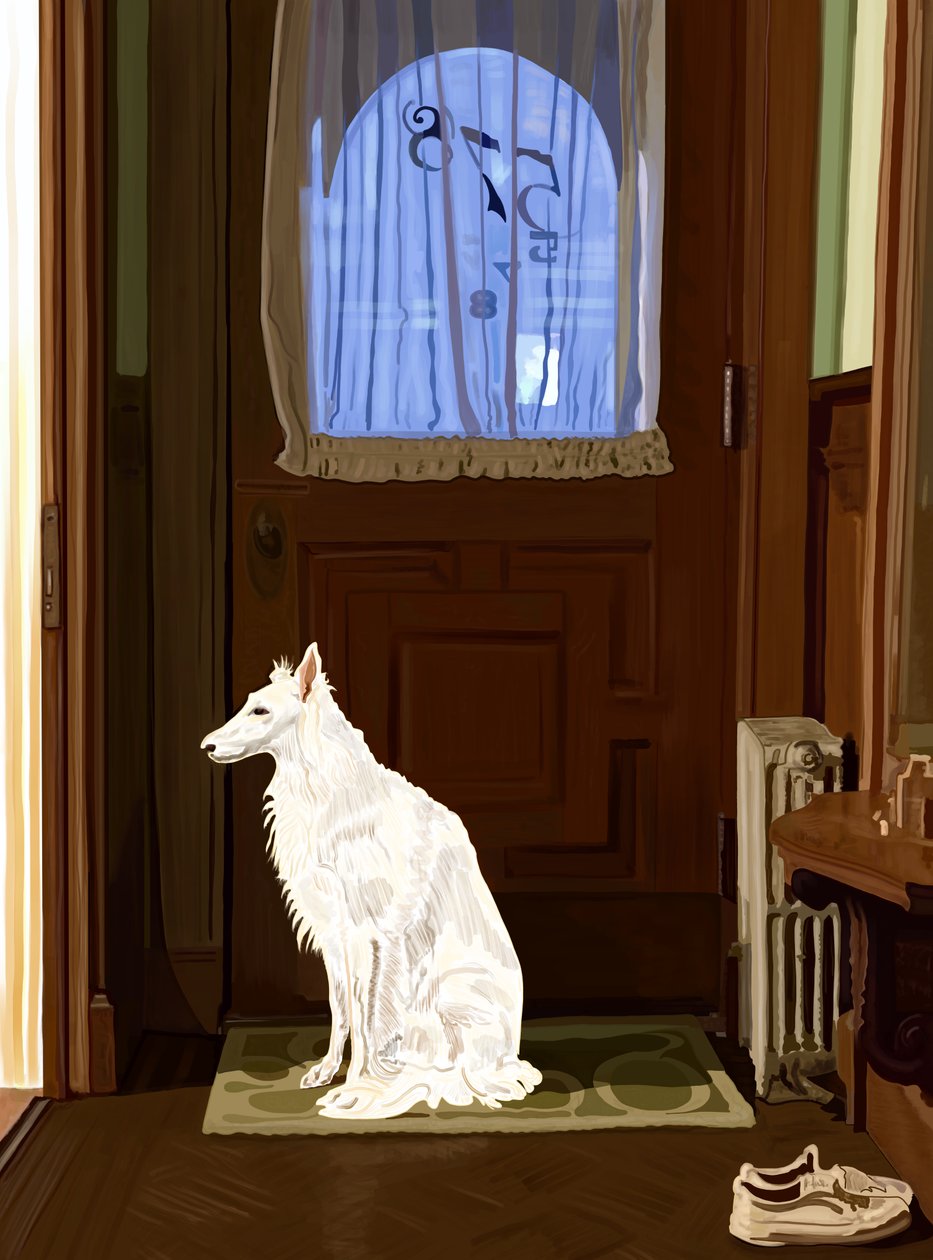 Penny on Rug by Front Door, Brooklyn by Evan Sklar