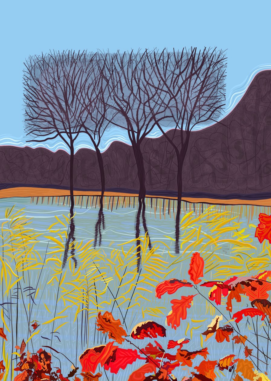 Pond and Trees In Autumn by Evan Sklar