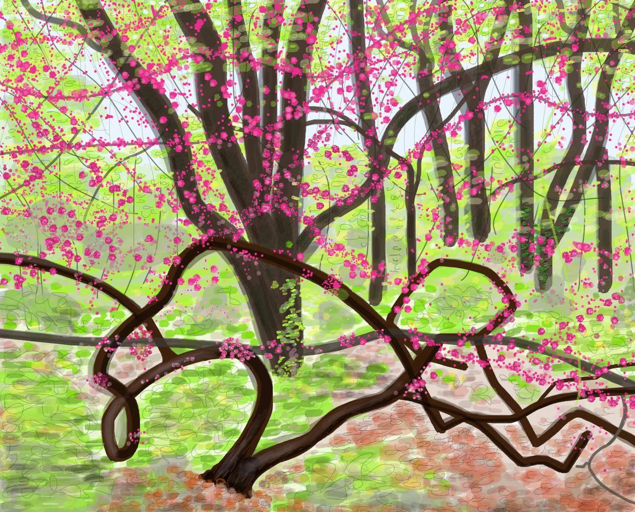 Prospect Park, Spring, 2017 by Evan Sklar
