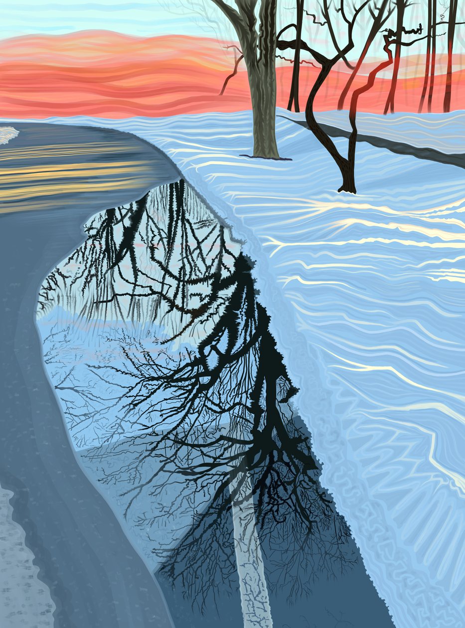 Puddle and Snow In Park, Brooklyn by Evan Sklar