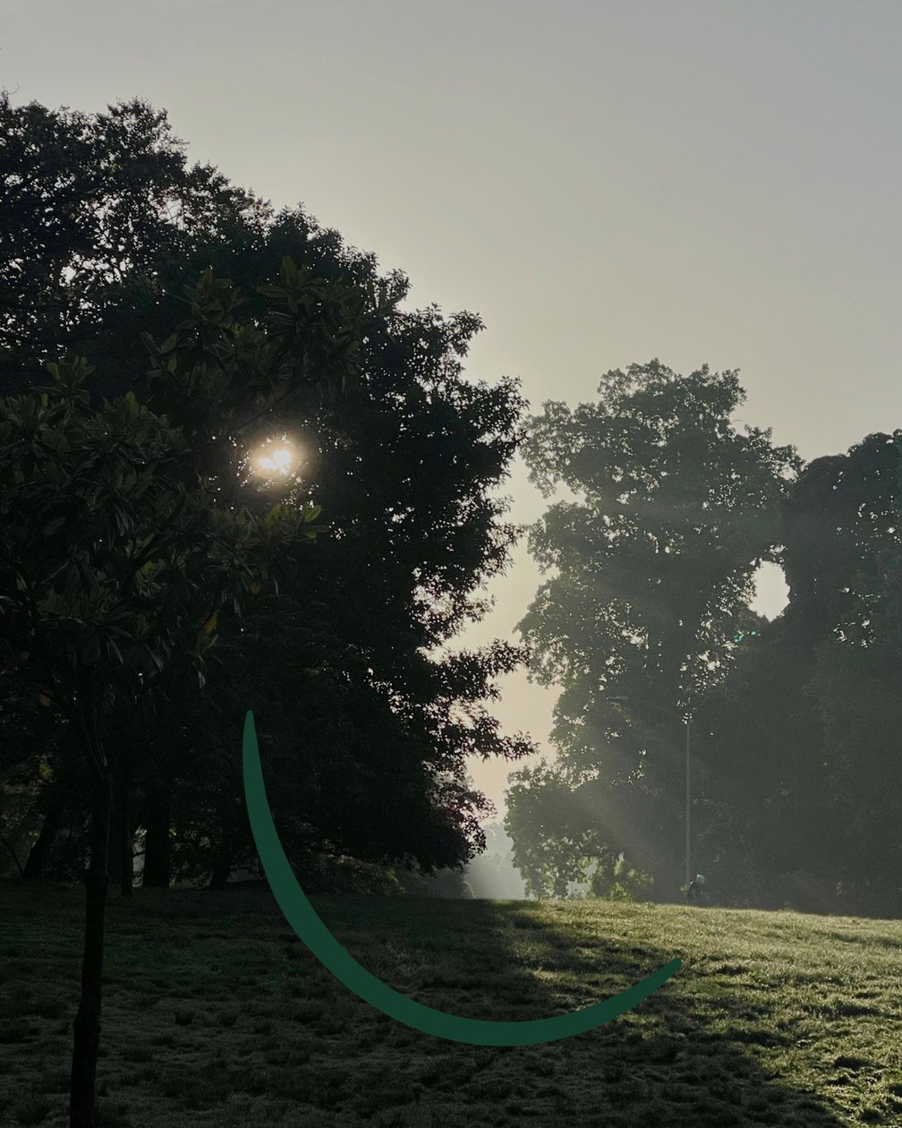 Smiling Sunrise by Evan Sklar