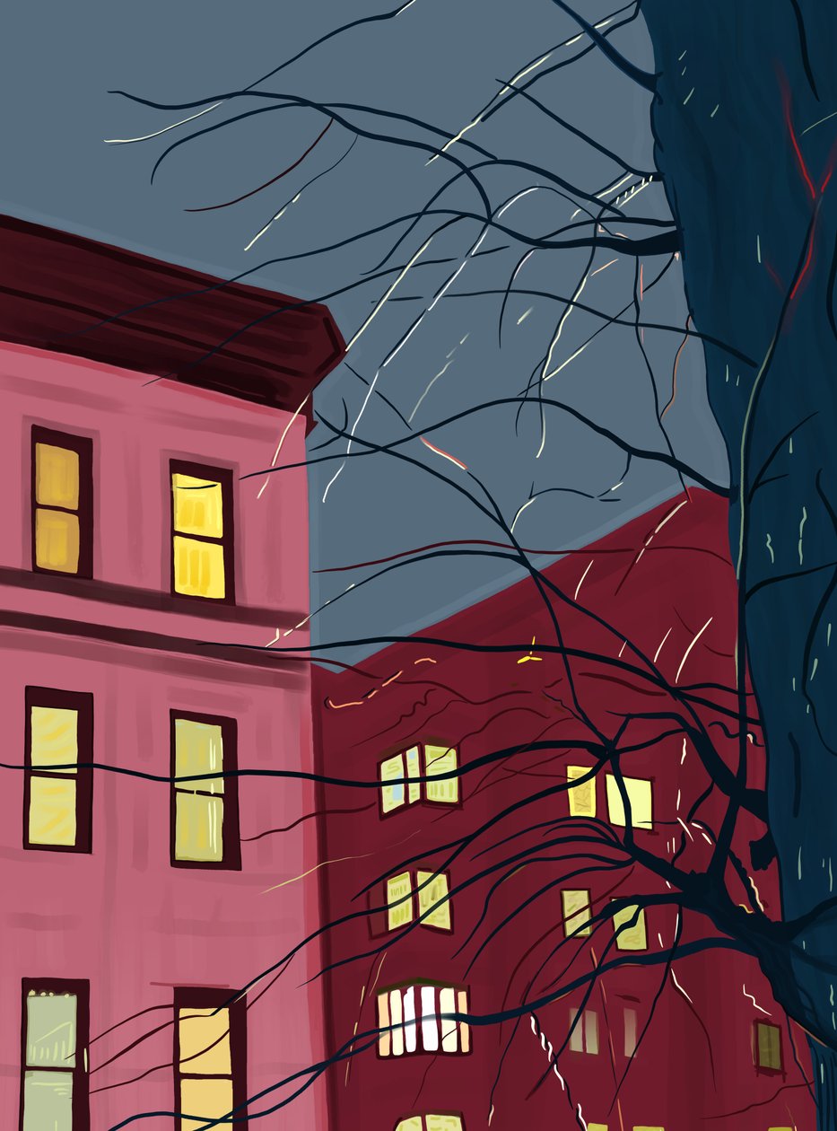 Squirrel On Tree On Rainy Evening by Evan Sklar