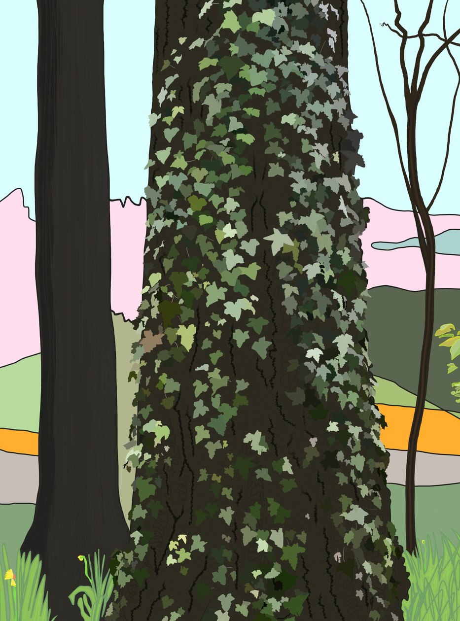Tree with Ivy by Evan Sklar
