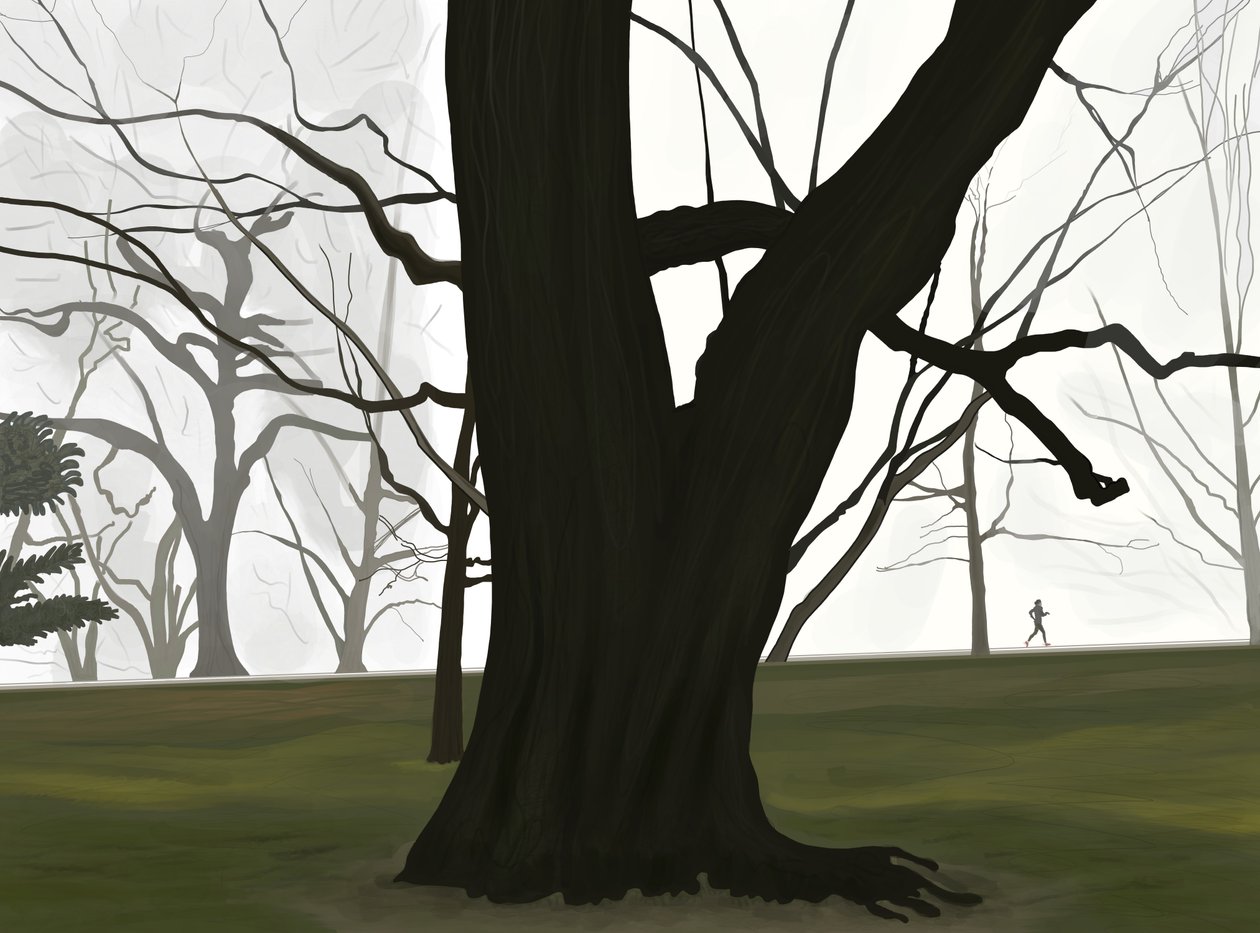 Tree and Jogger. Early Morning. Prospect Park by Evan Sklar